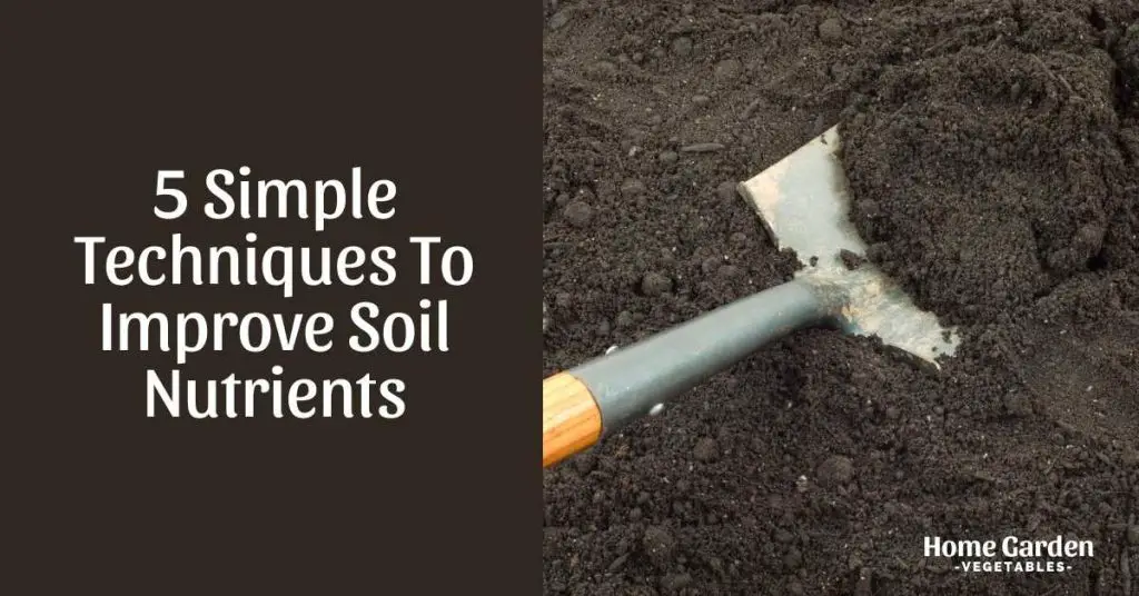how to use manure in a vegetable garden