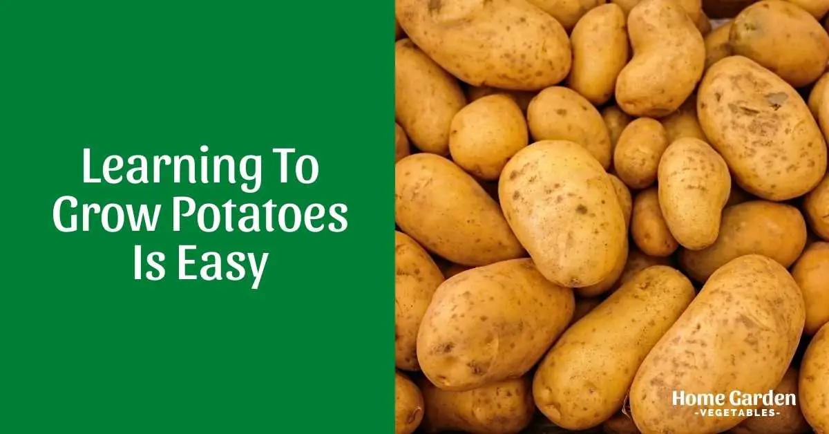 Grow Potatoes
