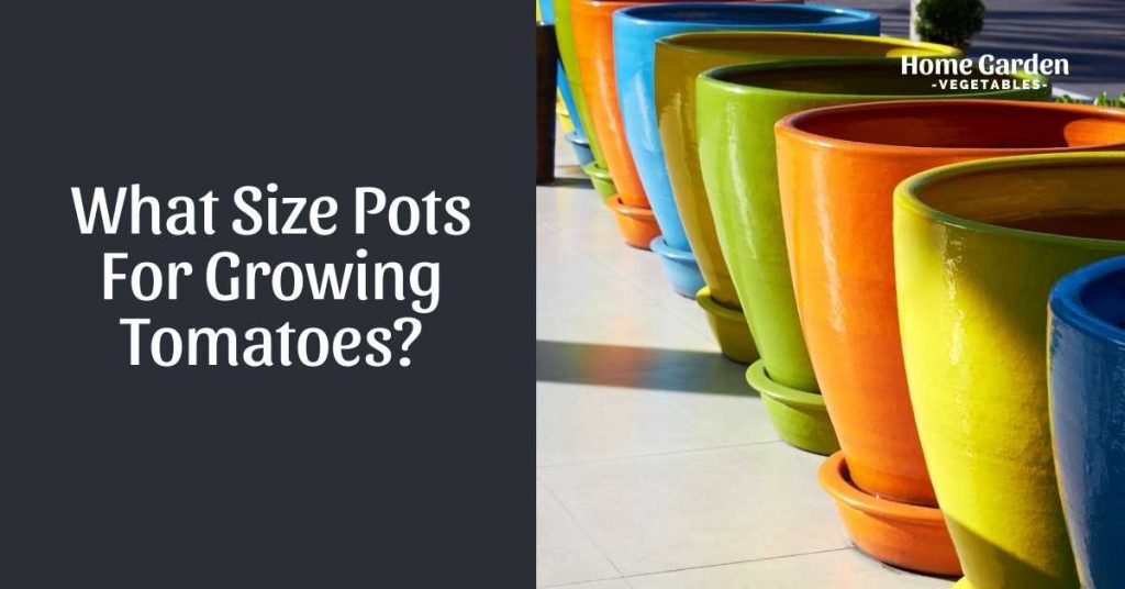 What Size Pots For Growing Tomatoes