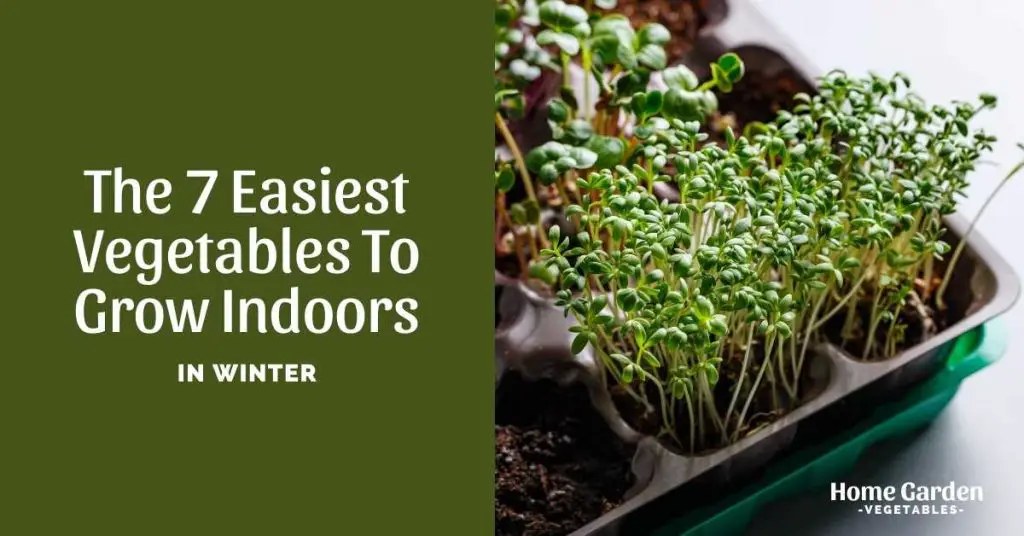 Vegetables To Grow Indoors In Winter