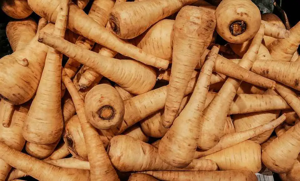 How Long Do Parsnips Take To Grow