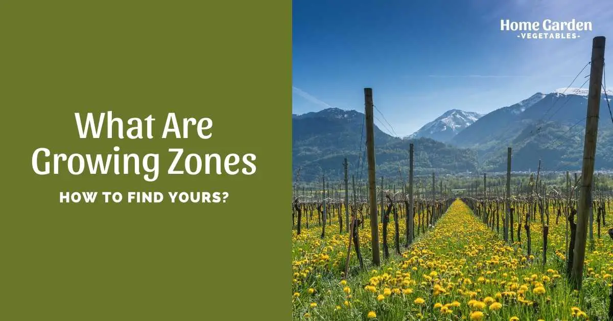 What Are Growing Zones
