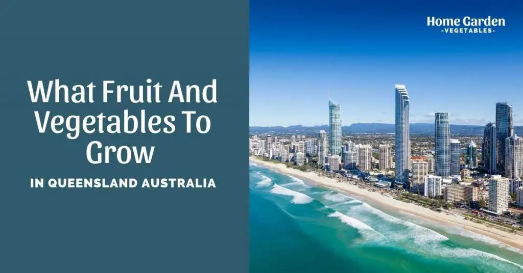 what fruit and vegetables to grow in Queensland