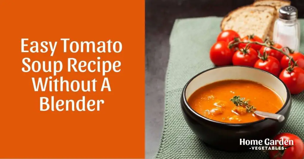 Easy Tomato Soup Recipe Without A Blender