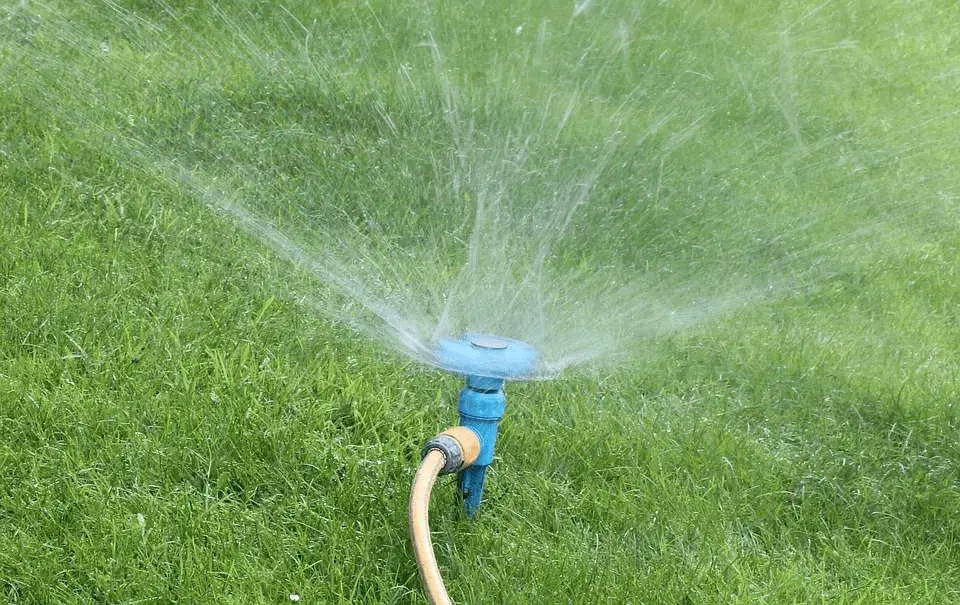 Vegetable Garden Watering System