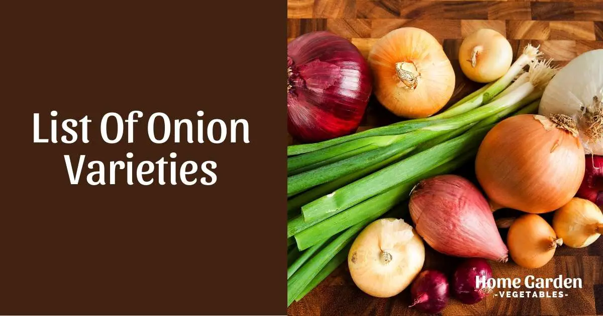 List Of Onion Varieties