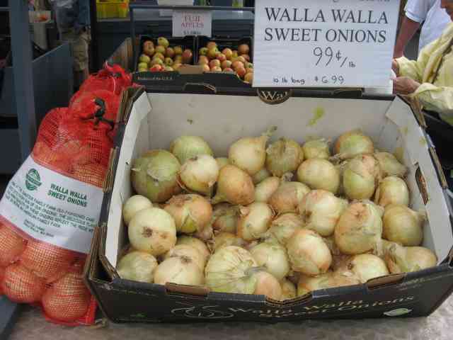 List Of Onion Varieties