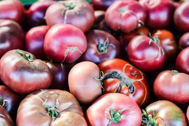Heirloom Tomatoes Resistant To Fusarium Wilt
