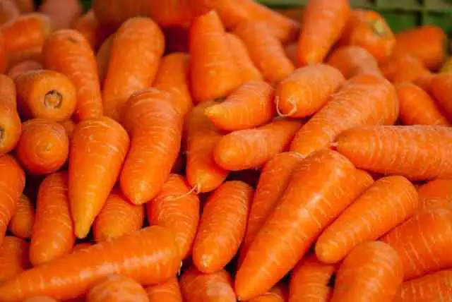 Carrots Grow In Clay Soil