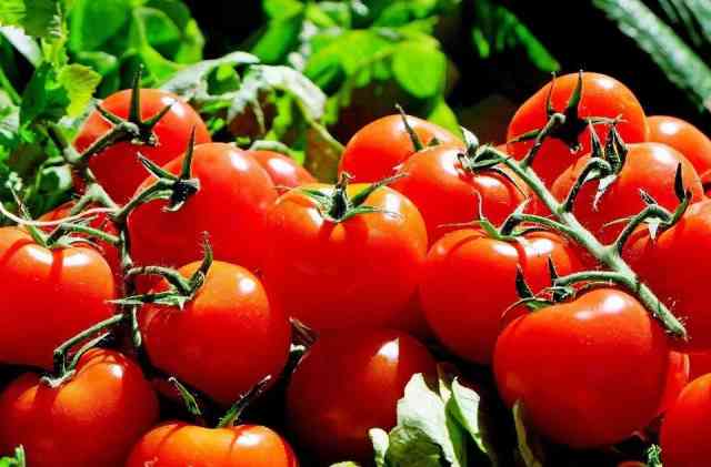 How To Rotate Tomato Crops