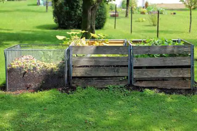 Vegetable Garden Peat Free Compost