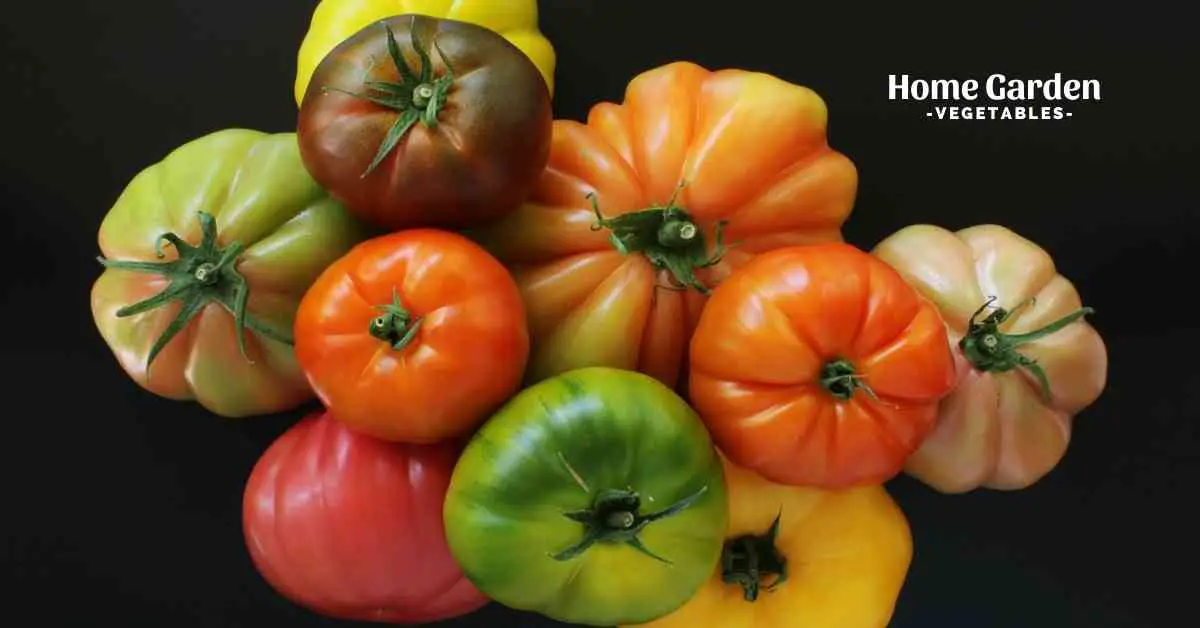 How Many Varieties Of Heirloom Tomatoes Are There