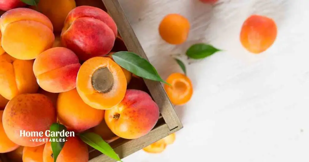 How To Freeze Apricots For Jam