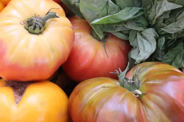 How Many Varieties Of Heirloom Tomatoes Are There