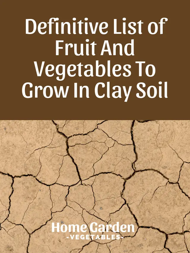Fruits And Vegetables That Grow In Clay Soil