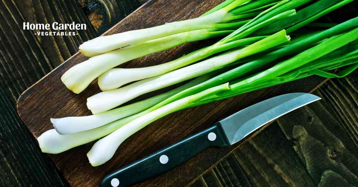 Are Green Onions And Chives The Same Thing