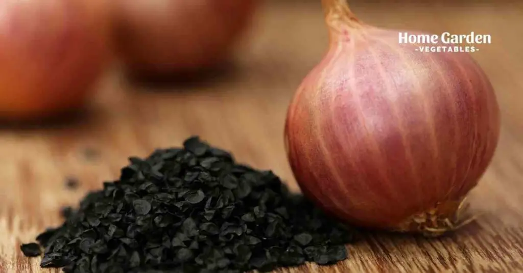 How to plant onions in clay soil