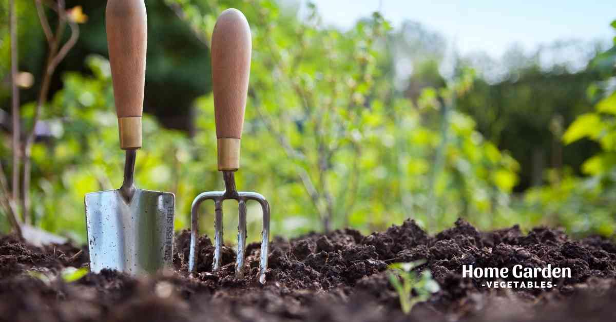 How To Improve Garden Soil Over the Winter?