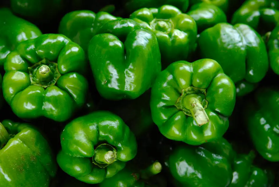 A bowl of freshly harvested bell peppers sitting on a wooden table.