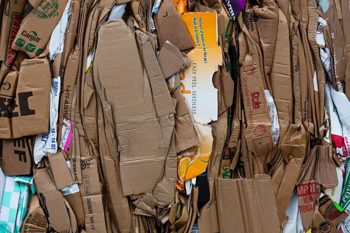 An image showing the decomposition process of cardboard, with cardboard breaking down into smaller pieces over time.