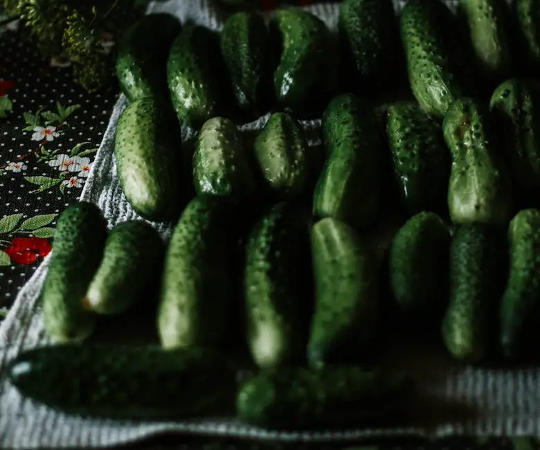 Image of cucumbers of different sizes to visualize the preferred pickling size