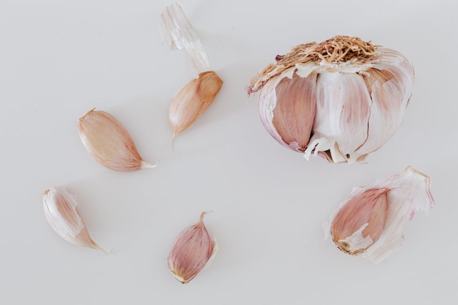 A visual representation of the growth cycle of garlic, depicting the stages from planting to harvesting.