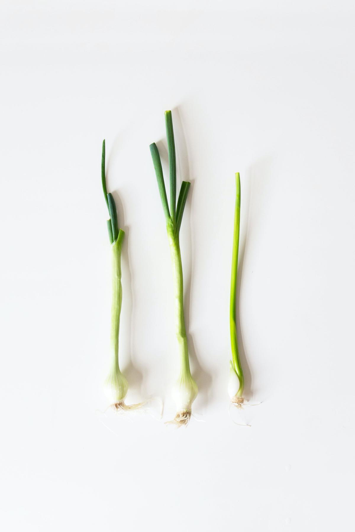 Illustration of common problems in indoor green onion gardening, including pests and diseases.