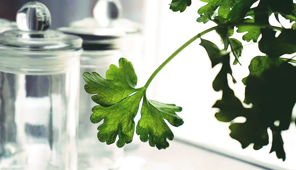 Image of fresh parsley stored in different ways, including in a plastic bag, a jar with water, frozen in ice cube trays, and dried and crumbled in a container.